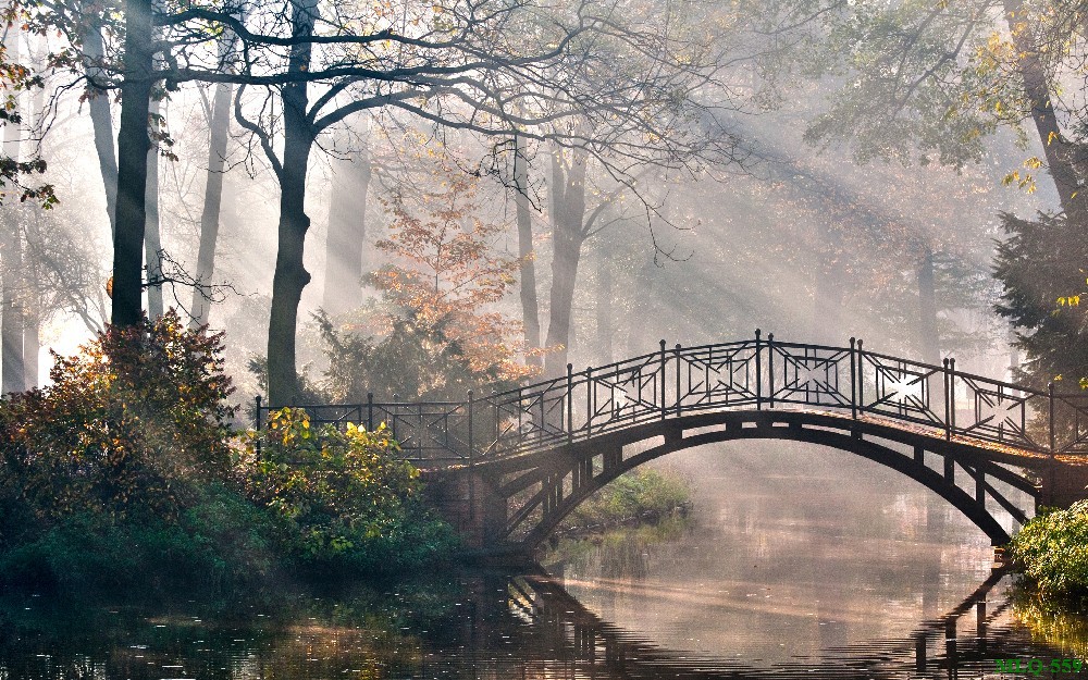 Tranh sơn dầu làng quê MLQ-559